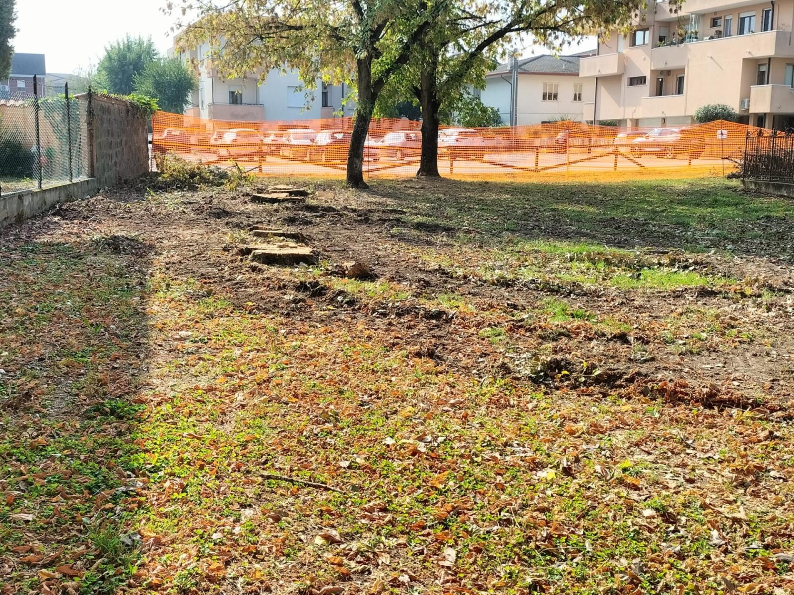 Trentamila euro per nuovi alberi