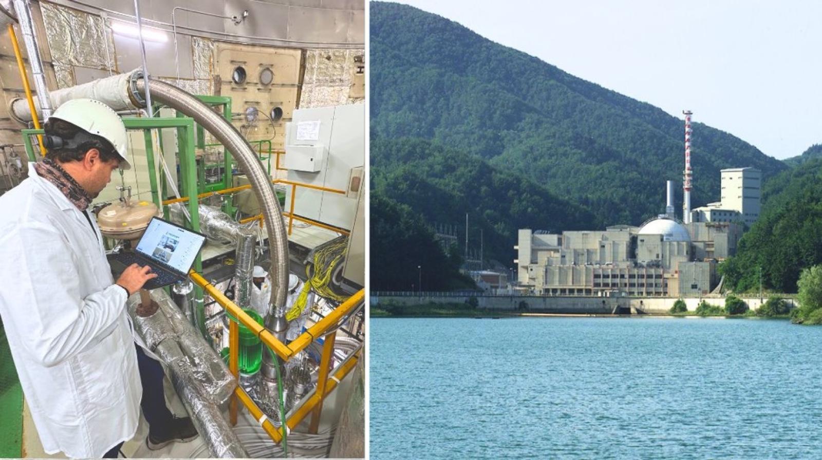 L'energia nucleare per crescere