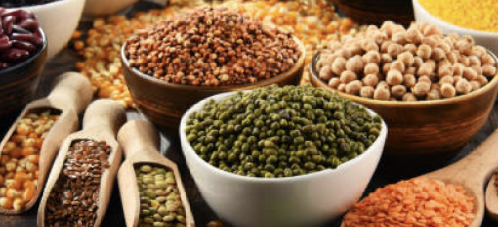 La rivoluzione delle proteine alternative 