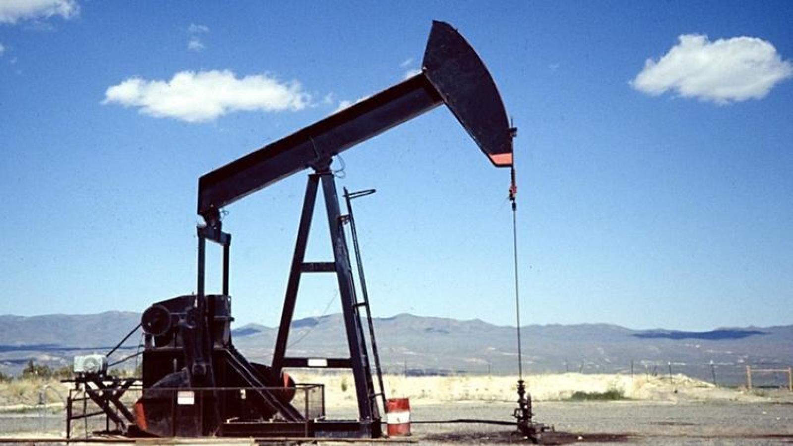 In Polesine torna l&rsquo;incubo trivelle