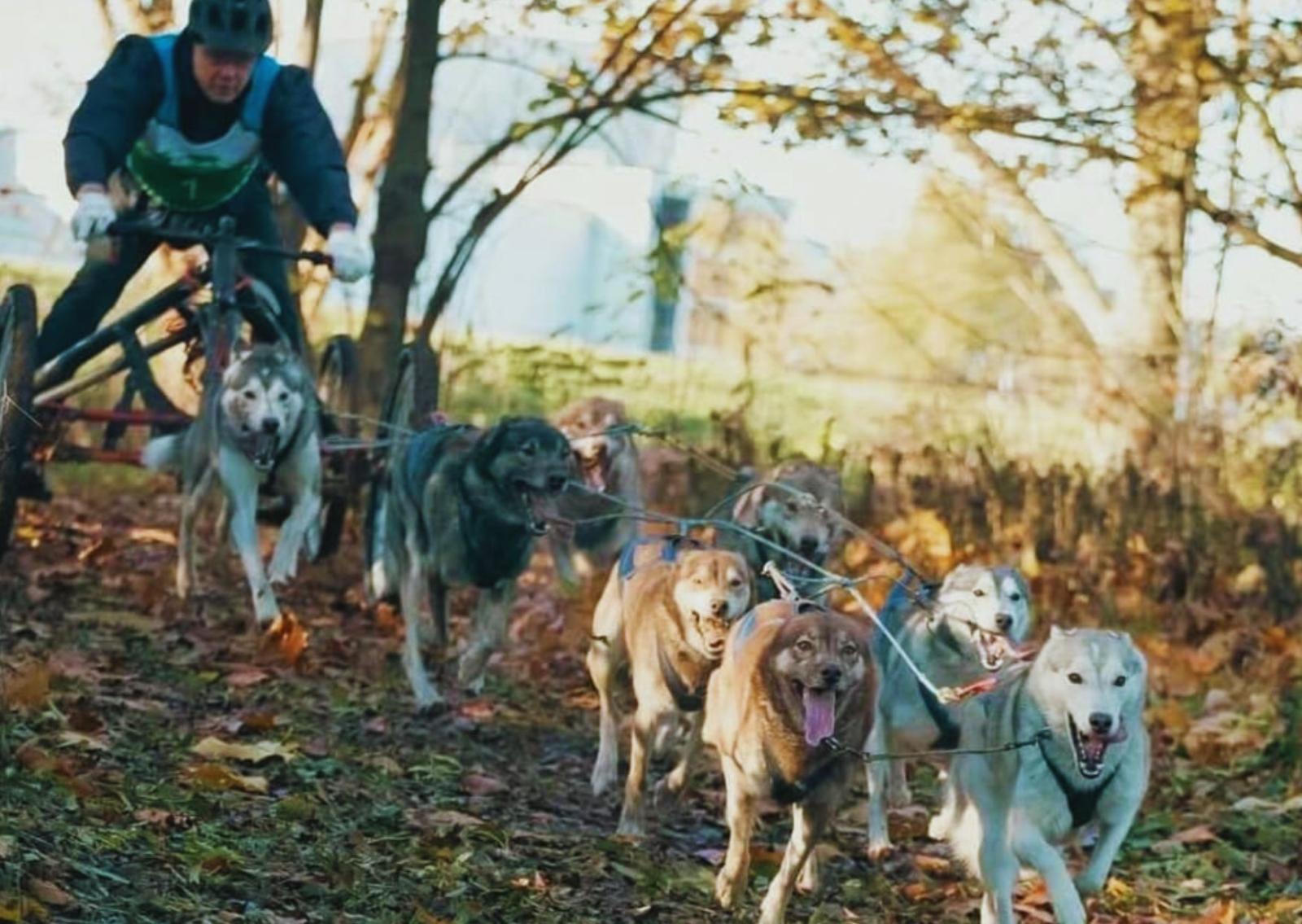 La Marca si prepara all&rsquo;assalto