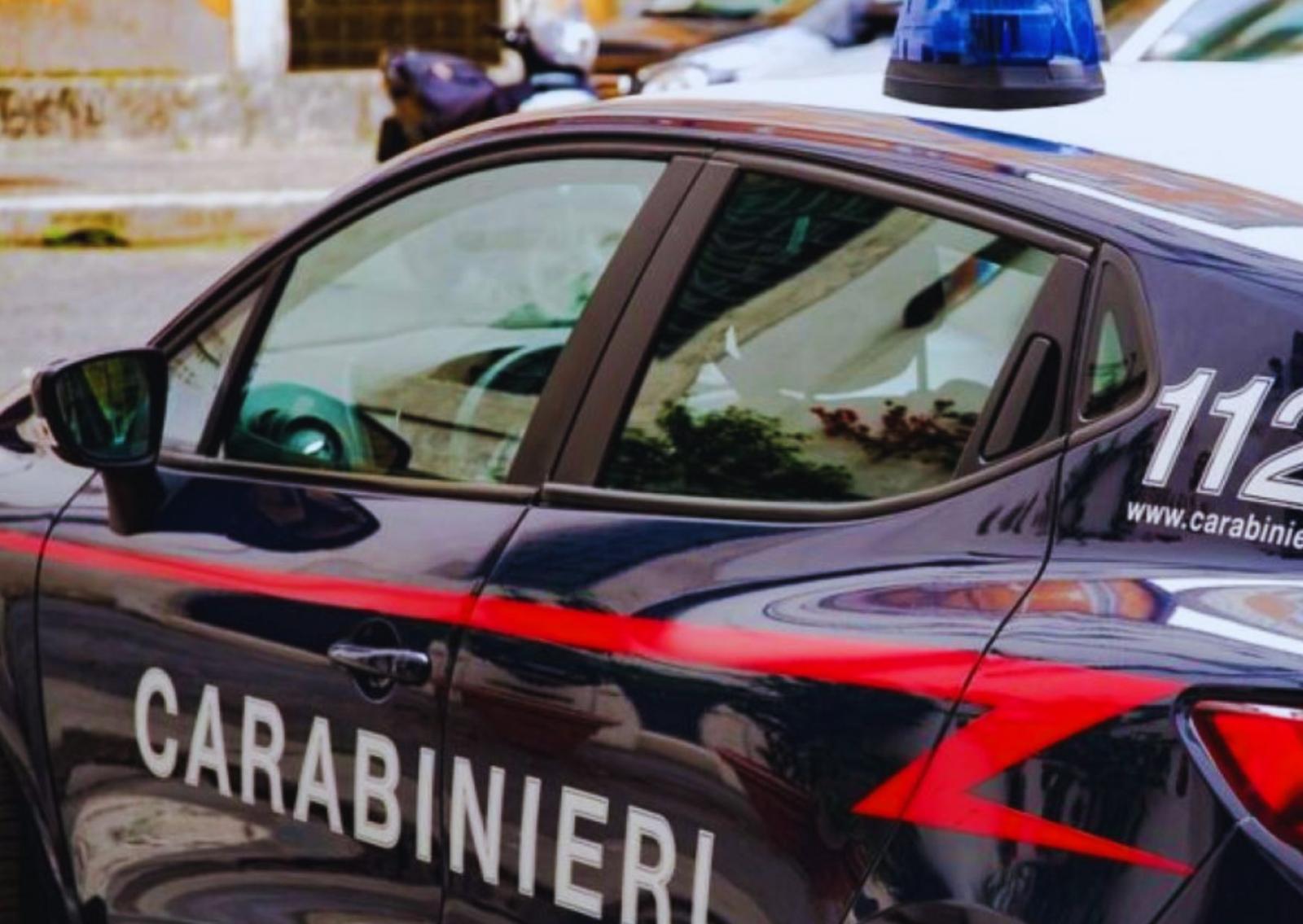 Tentato rapimento:  madre la salva 