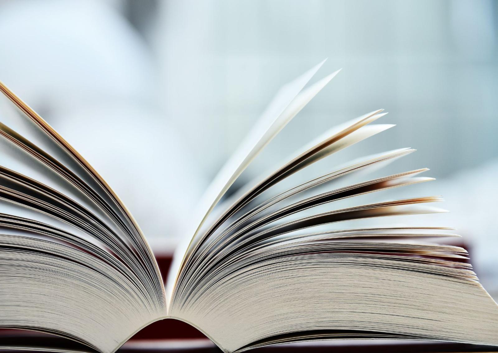 Rage bait, la scelta di Oxford