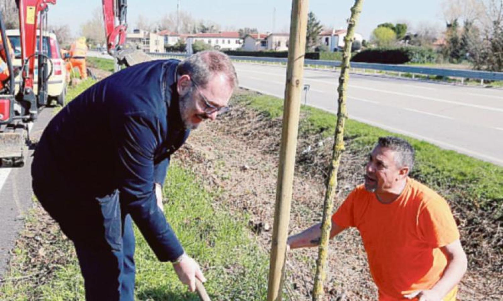 &ldquo;Alberi? Prima il censimento&rdquo;
