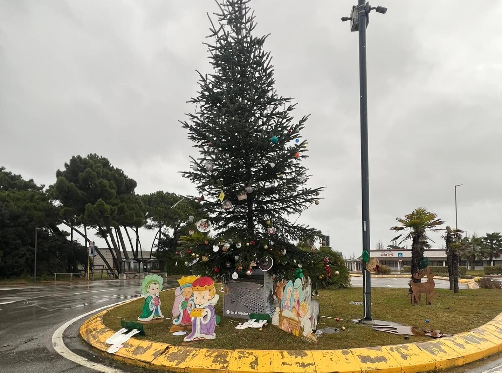 Vento e pioggia, a rischio l'albero del turista