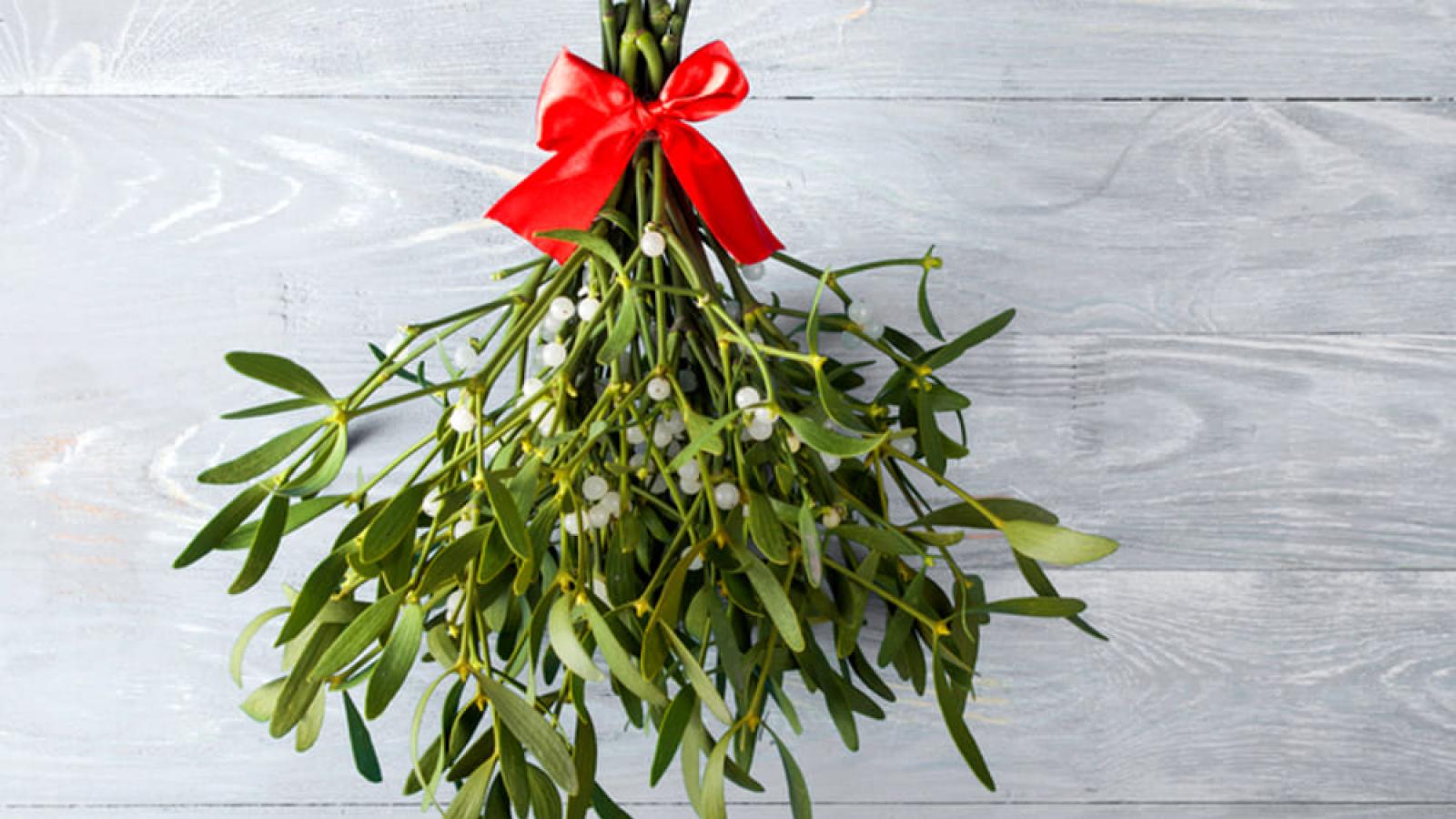 Vischio di Capodanno, amuleto di fortuna