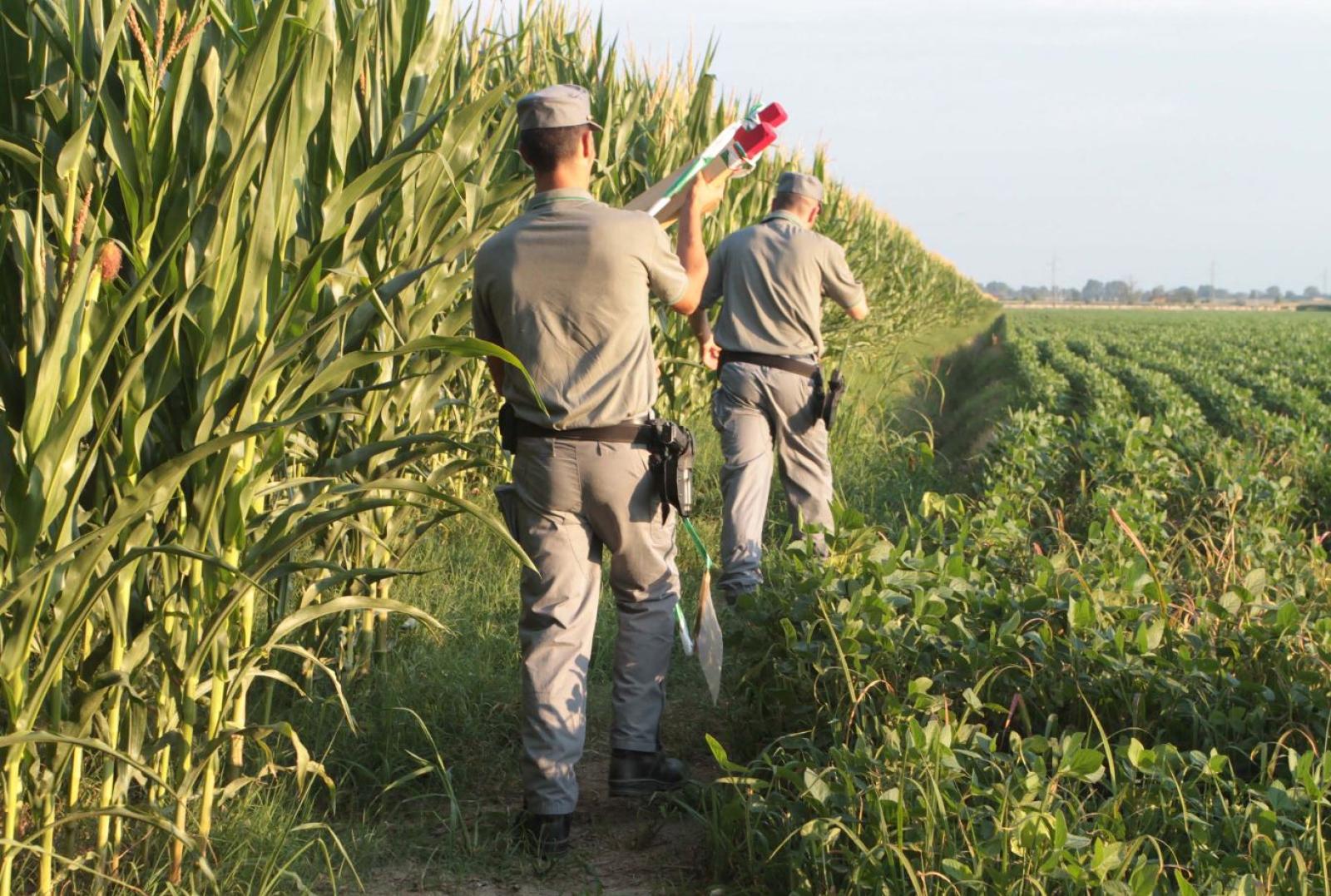 Tiene il cortile di casa come una discarica, il Comune impone lo sgombero