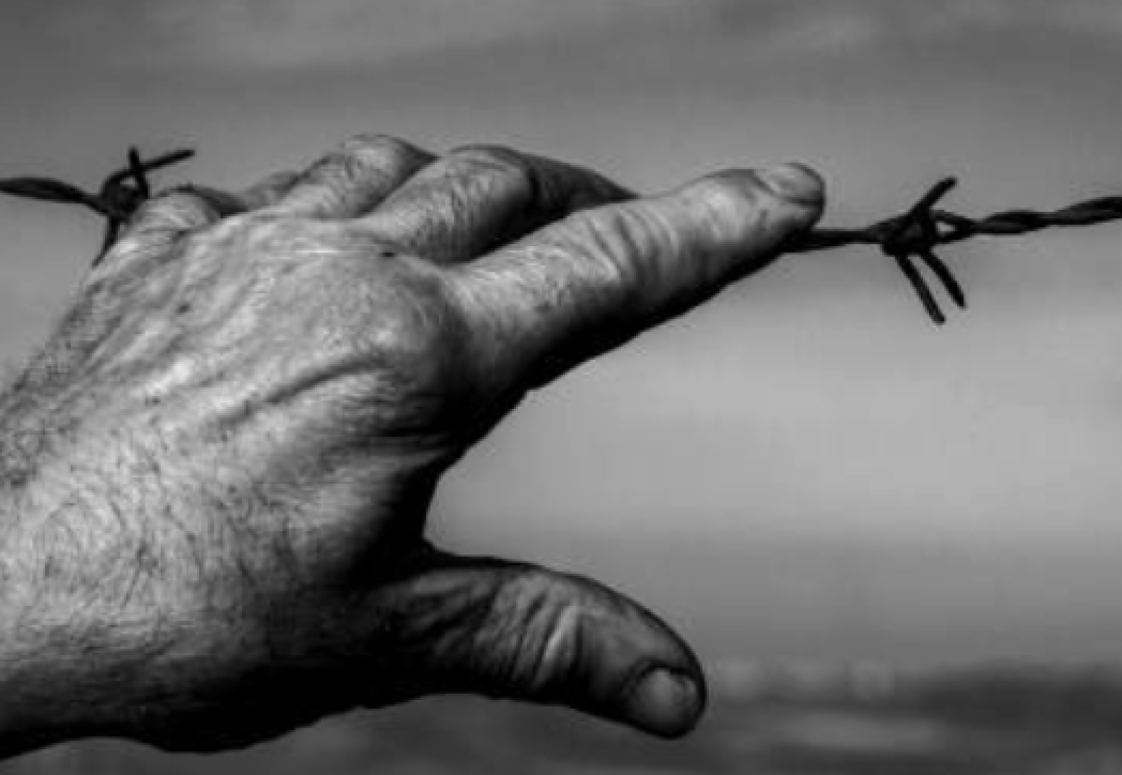 Giornata della Memoria: 40 libri per bambini e ragazzi