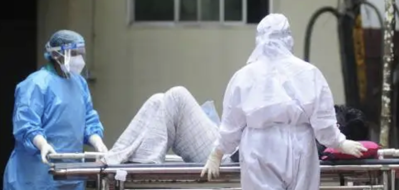 Virus Nipah, nuovi casi in India