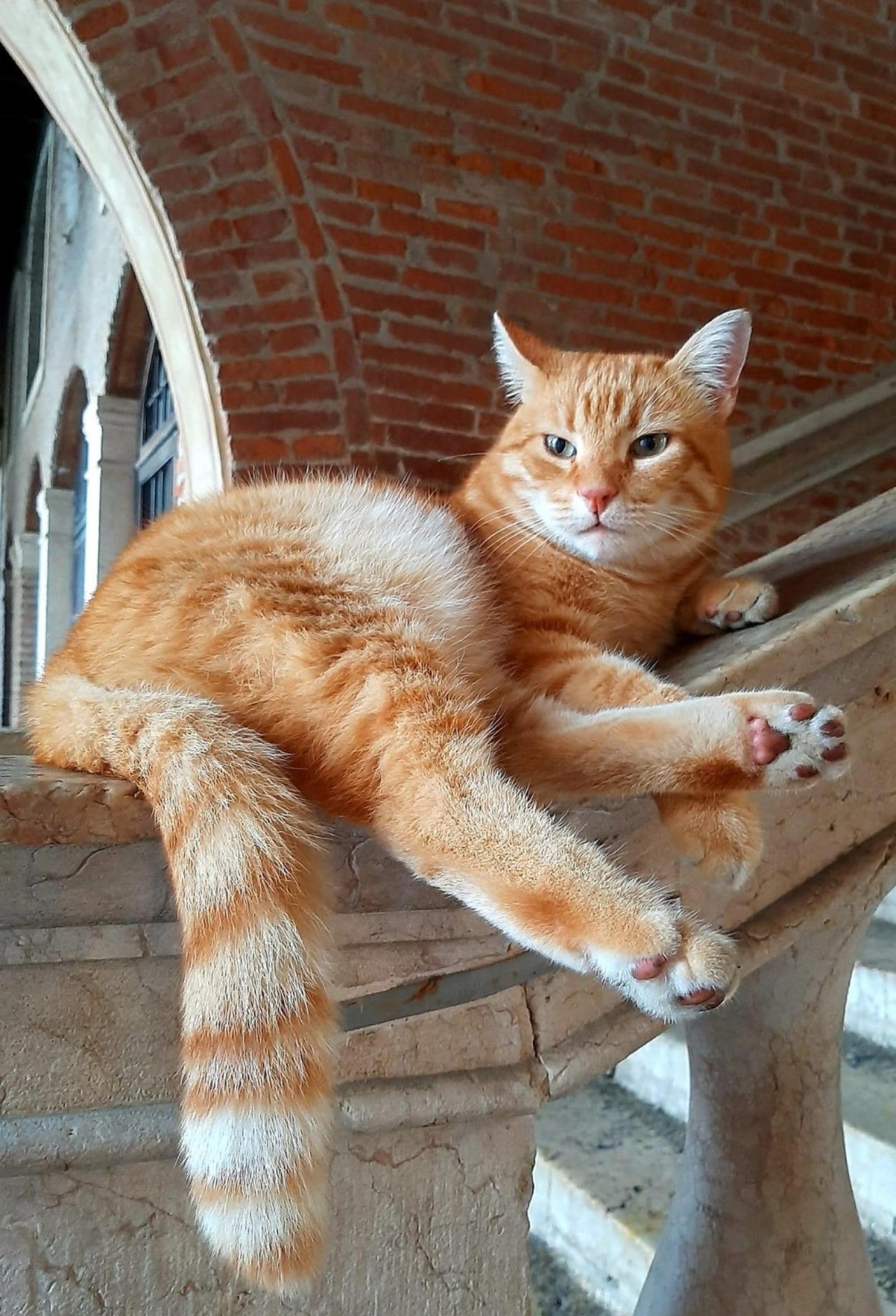 Addio Rossini, &ldquo;eri il simbolo della citt&agrave;&rdquo;