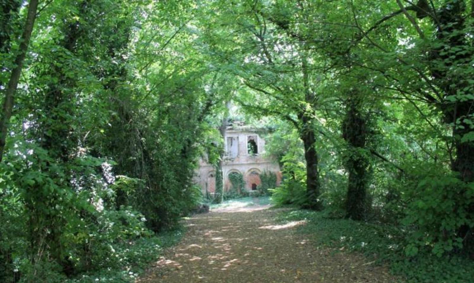 Piombo e idrocarburi nel bosco