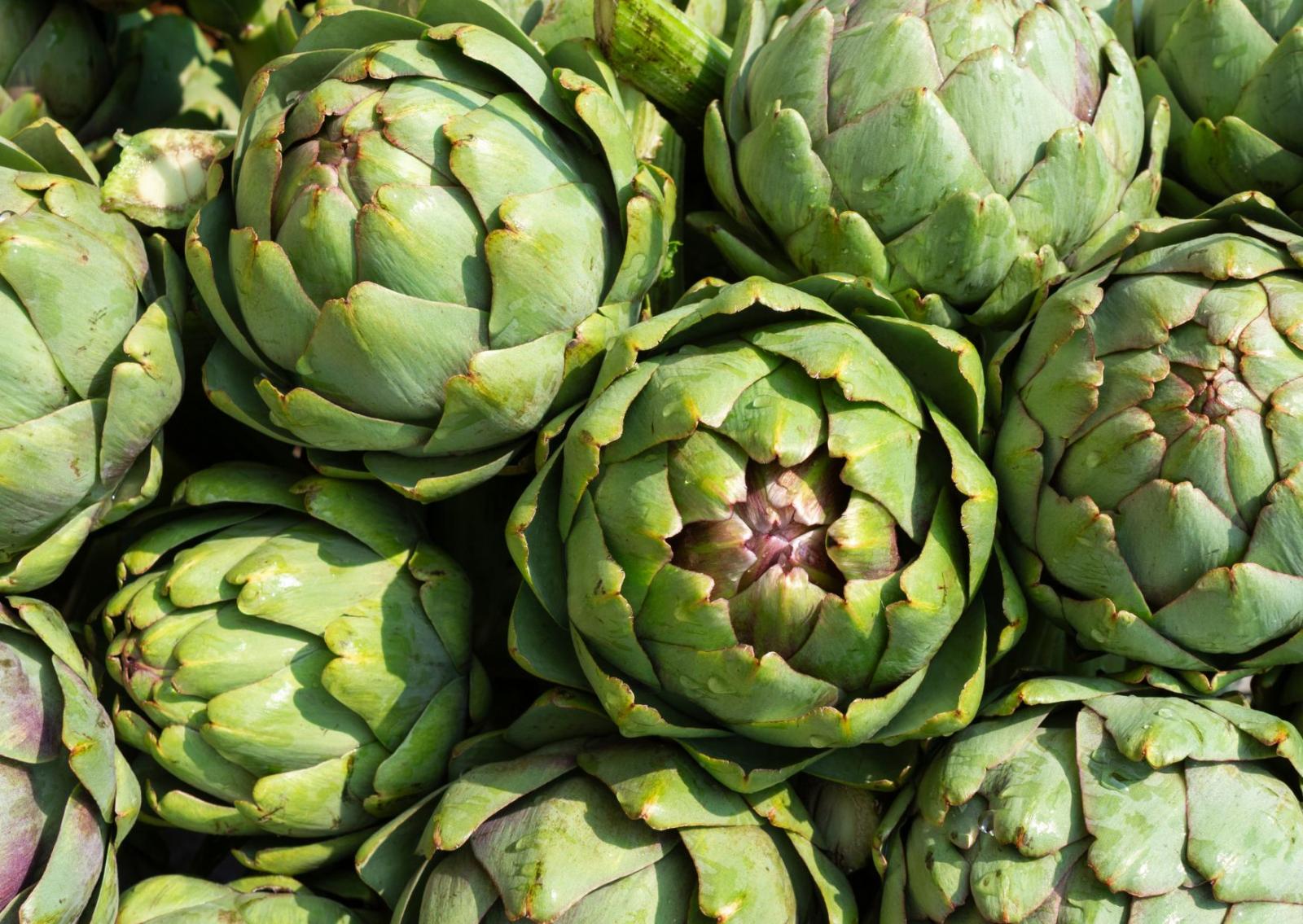 Carciofi, l&rsquo;oro verde della tavola