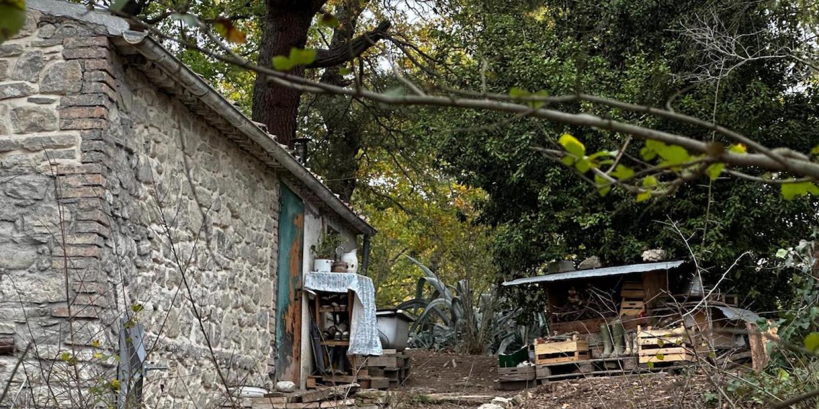 Famiglia nel bosco, il padre: &ldquo;Ci adegueremo alle regole&rdquo;