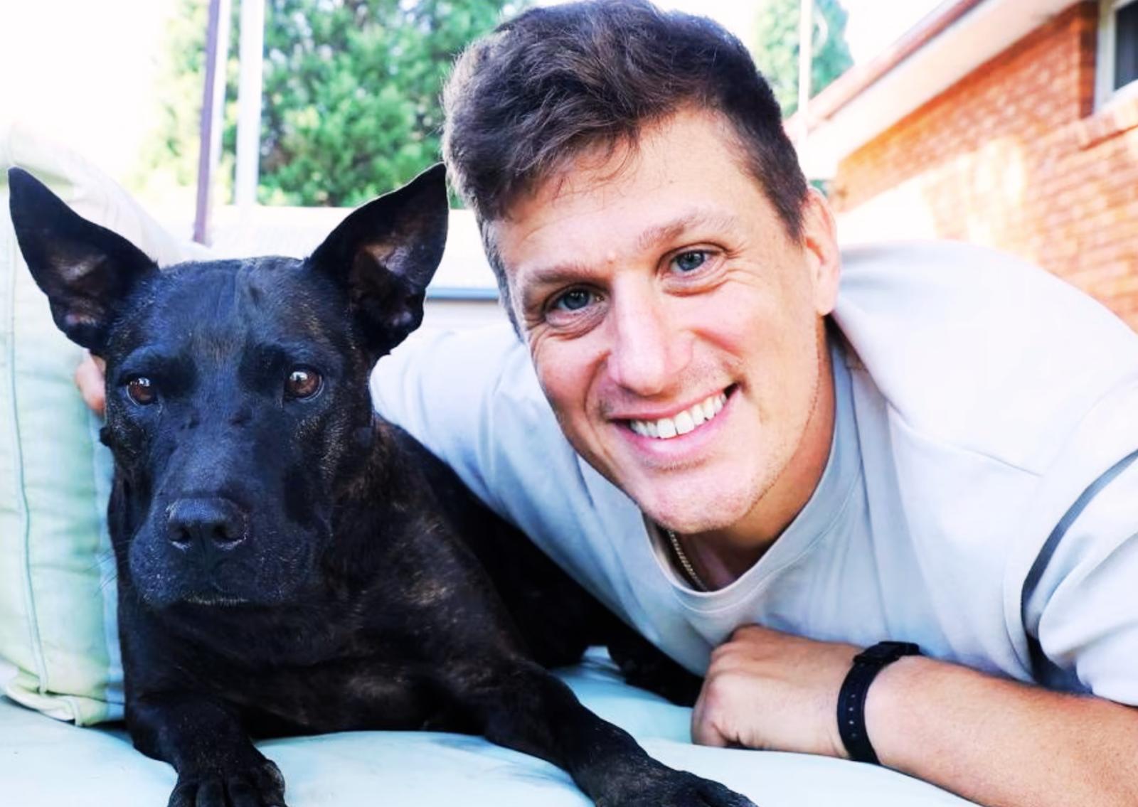 IA salva la cagnolina