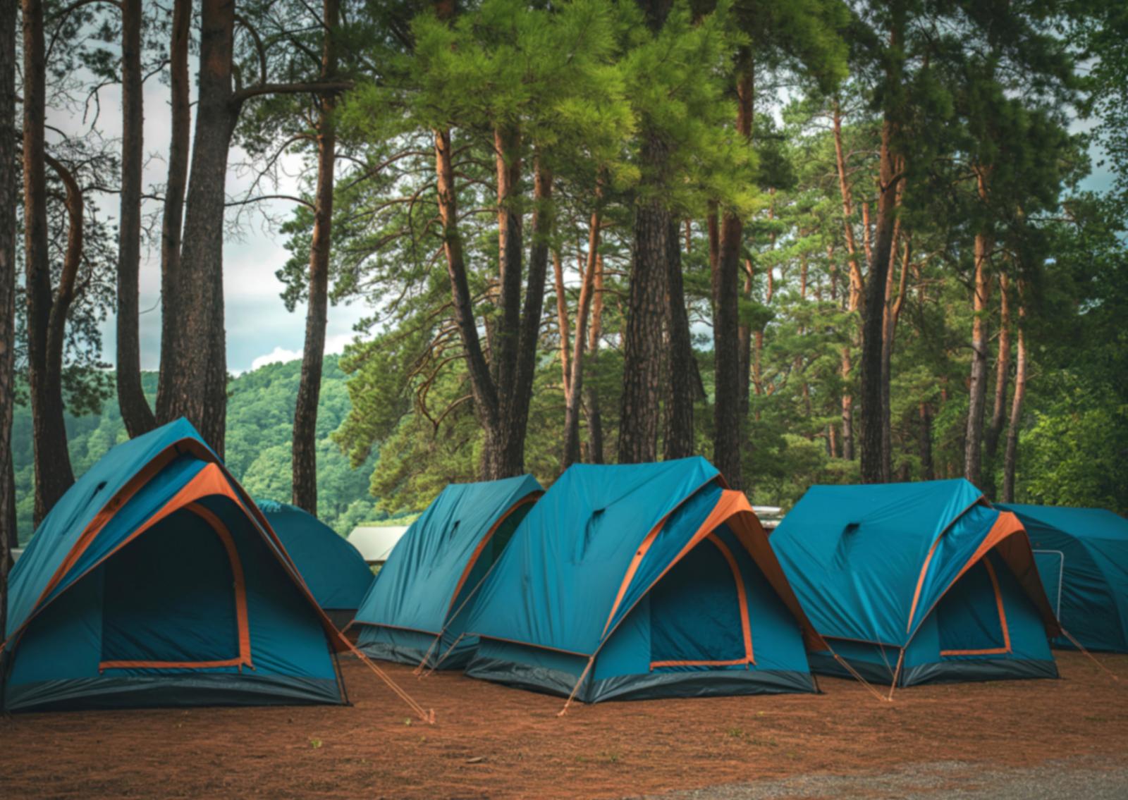 Arrivano le vacanze  per over 65