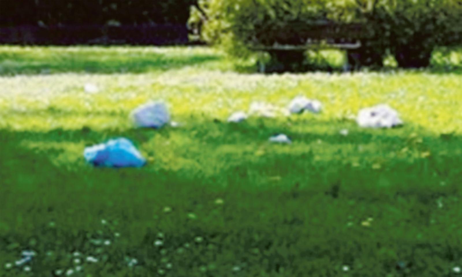 Ancora rifiuti abbandonati