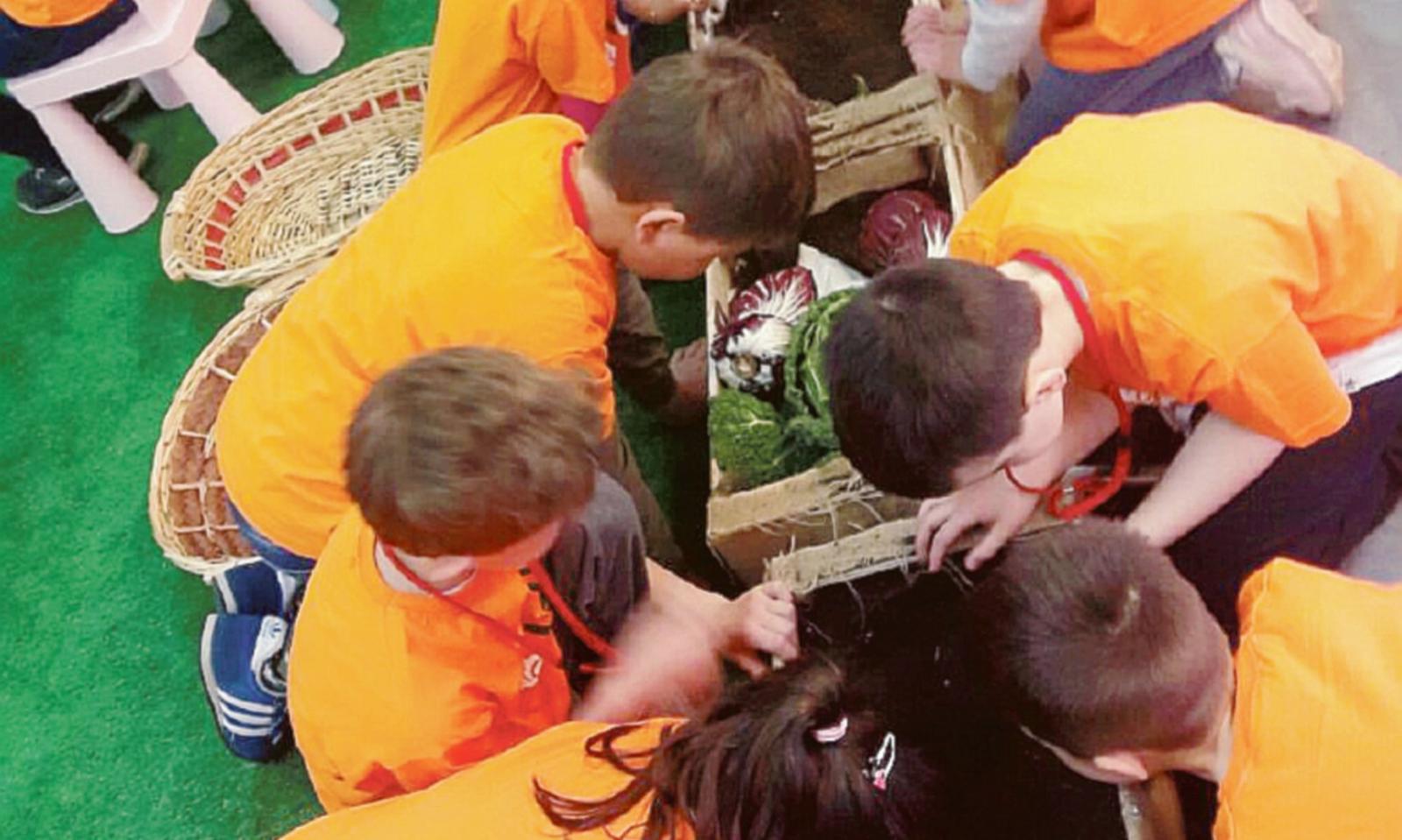 Il Porto diventa &ldquo;Meravigliorto&rdquo;