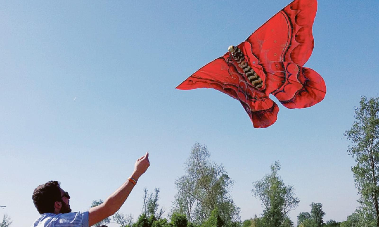 Grande successo per la Festa degli aquiloni