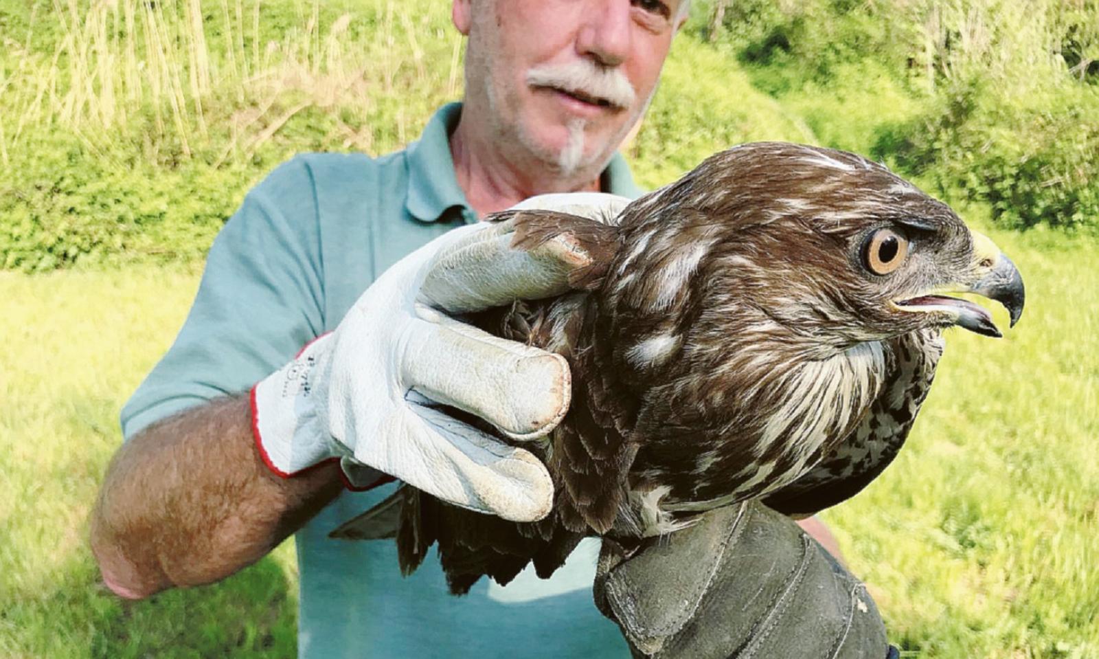 Feriti, salvati e liberati in volo