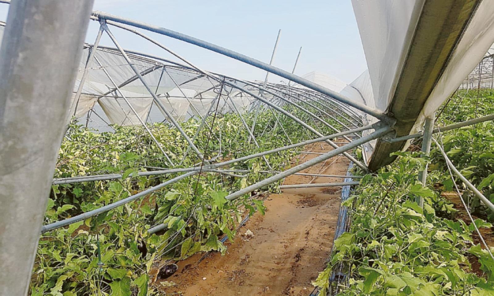 Seconda mazzata per gli agricoltori