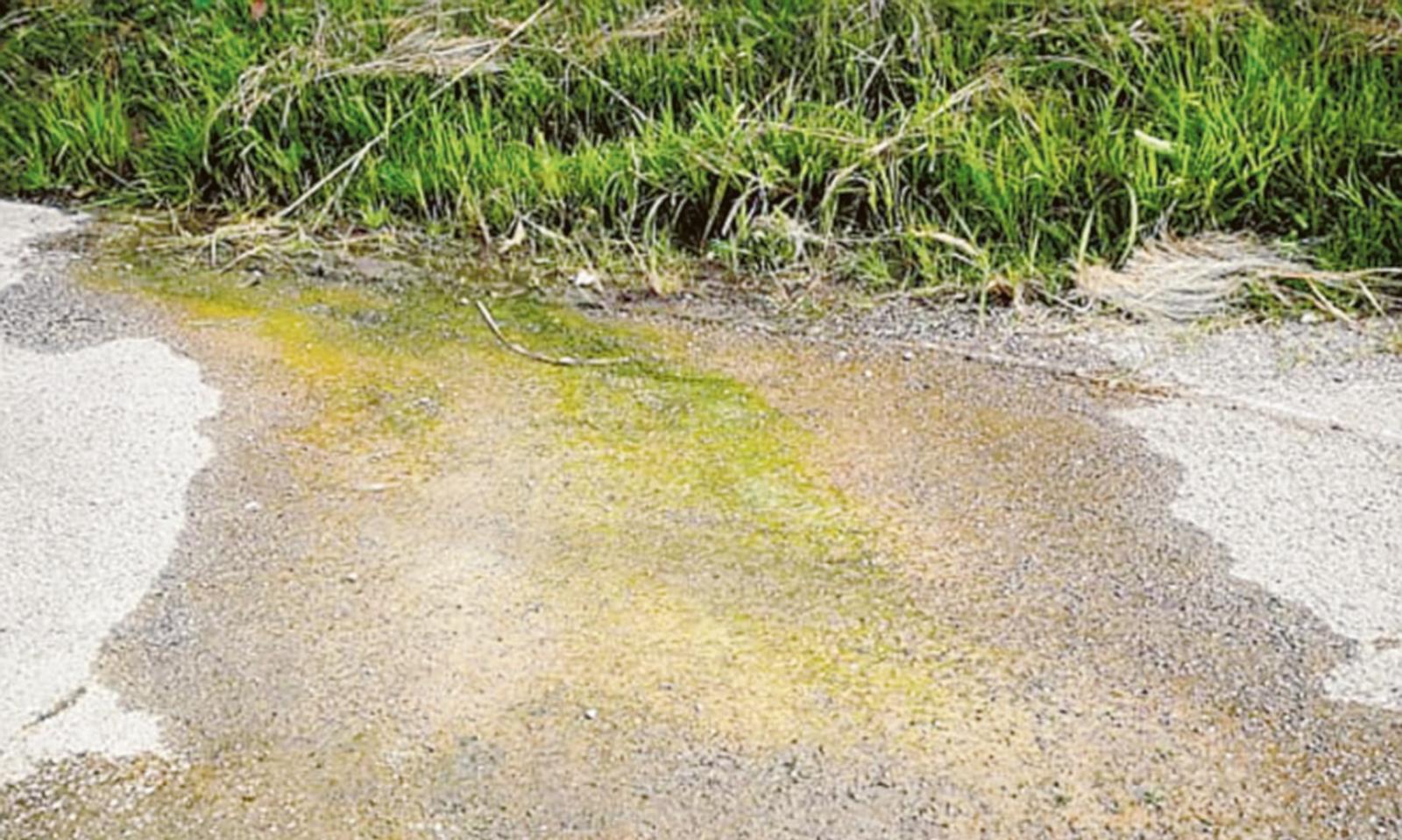 Argine a rischio per i &ldquo;fontanazzi&rdquo;