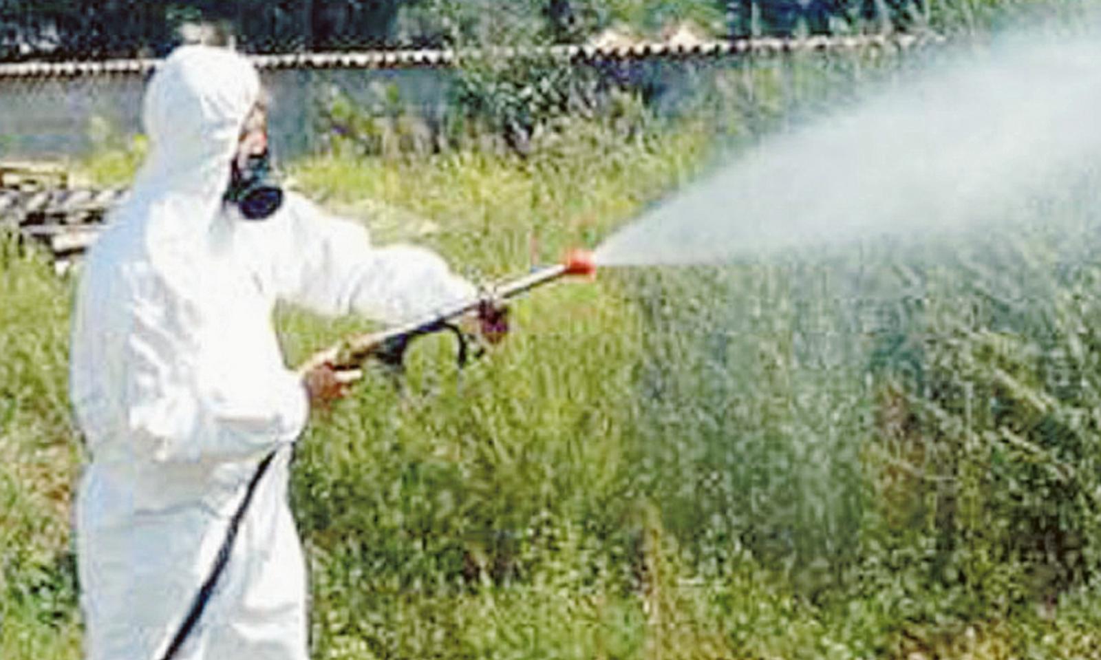 Lotta alle zanzare, Viaro rassicura