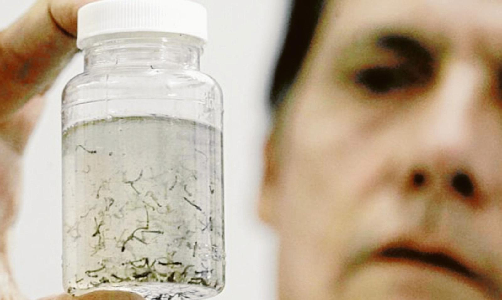 &ldquo;Siamo davanti a una calamit&agrave;&rdquo;