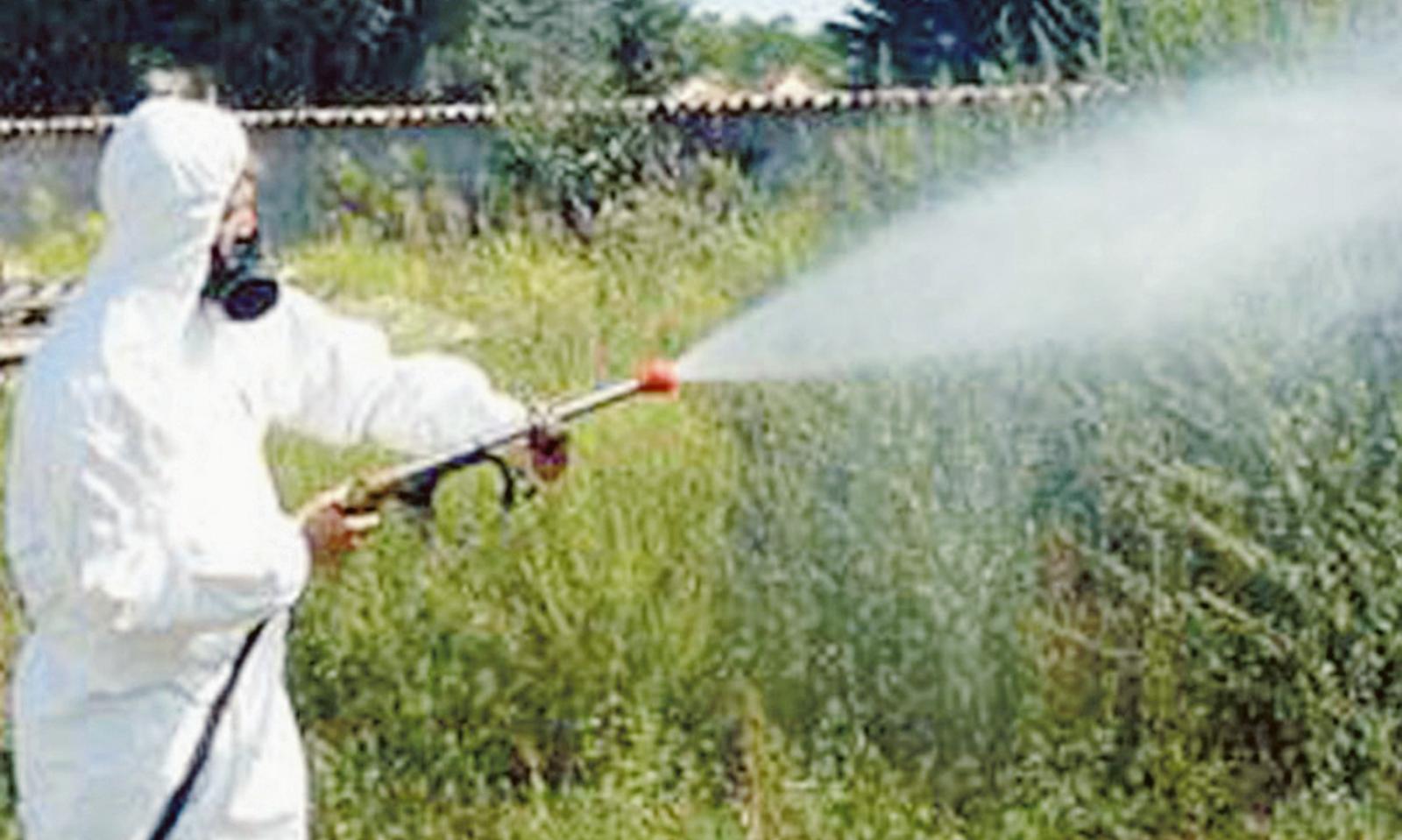 West Nile, nuove vittime e contagi