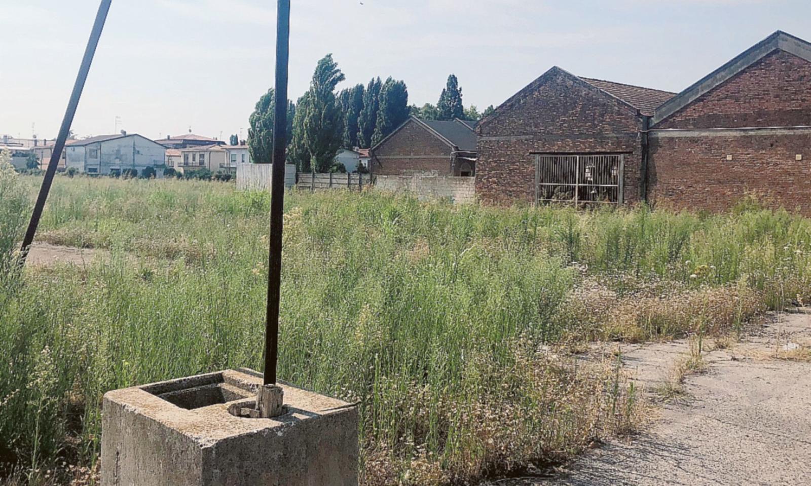 Ratti e zanzare, serve la bonifica