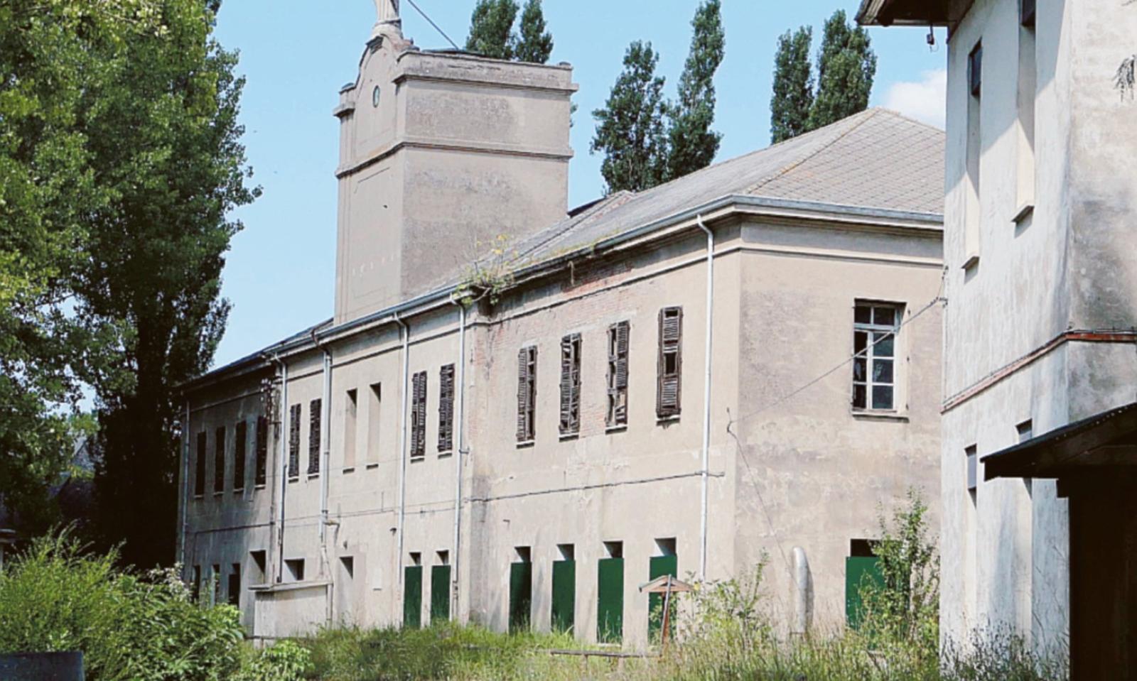 Investito da un&rsquo;auto pirata nel parco