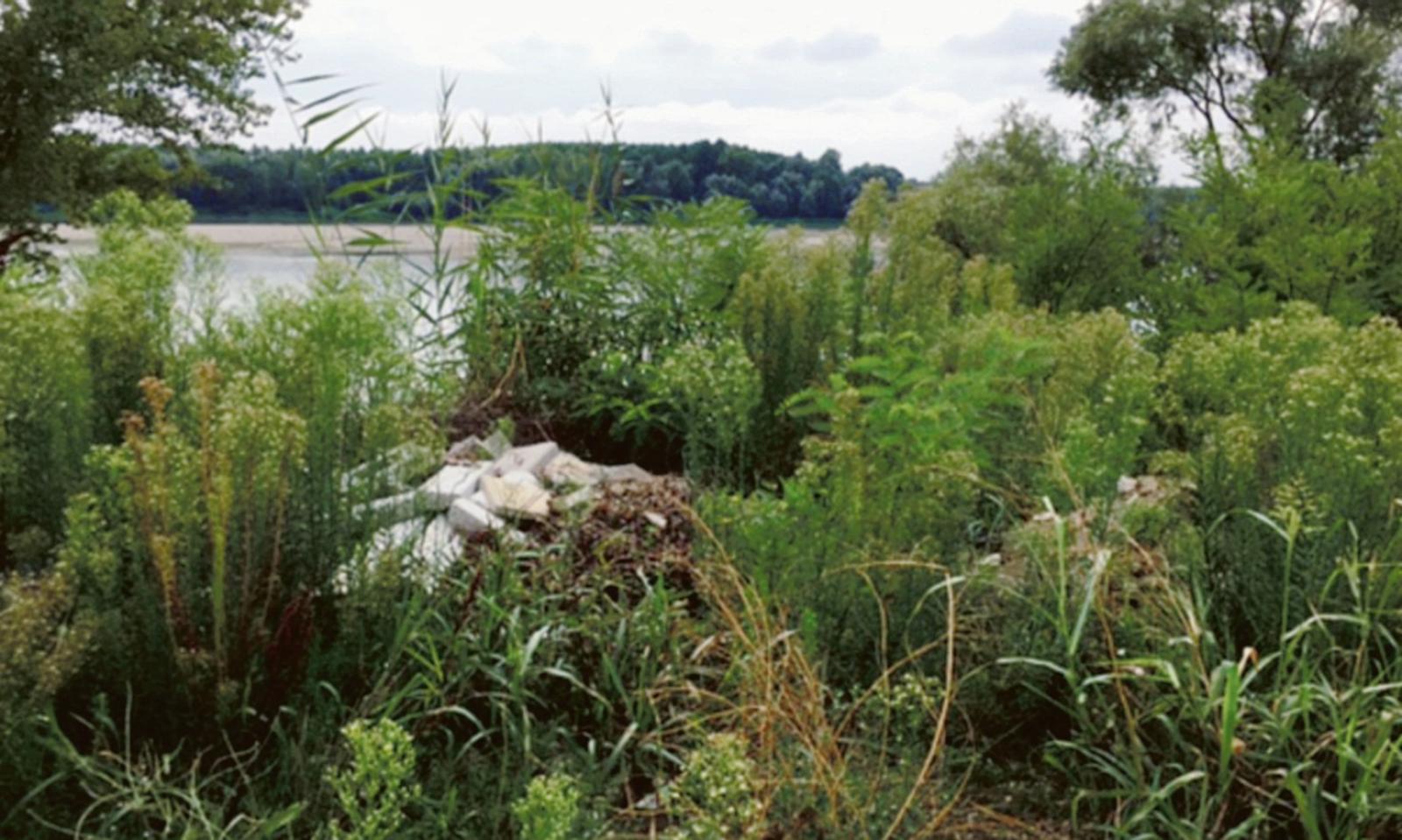 Argine del Po, discarica a cielo aperto