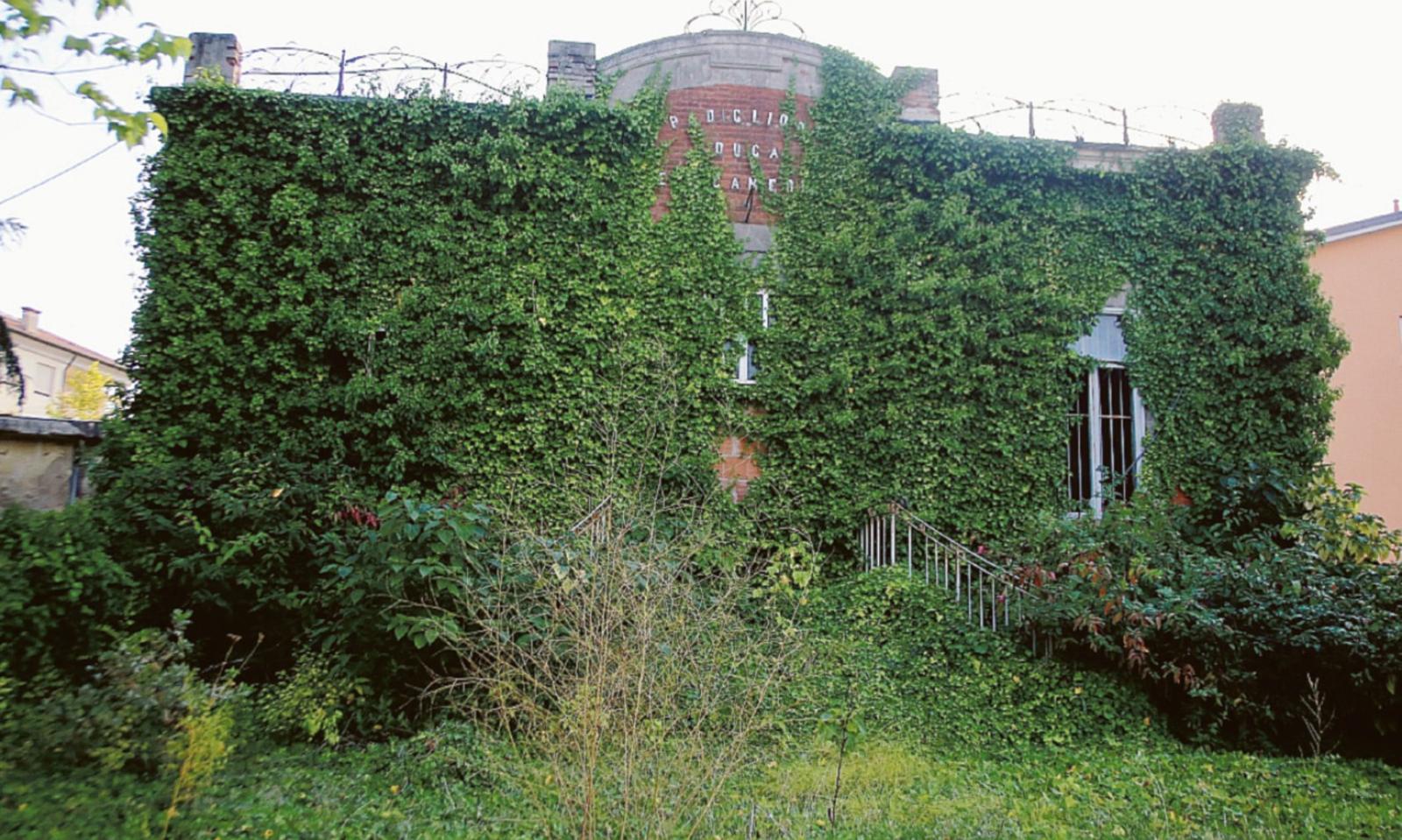 I raid delle zanzare partono da qui