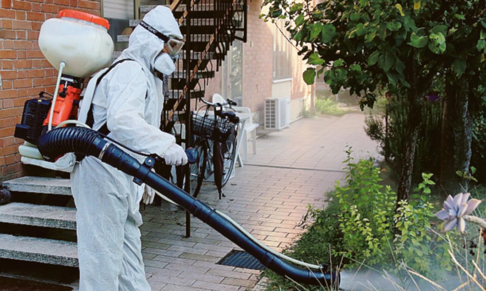 Zanzare, una nuova disinfestazione