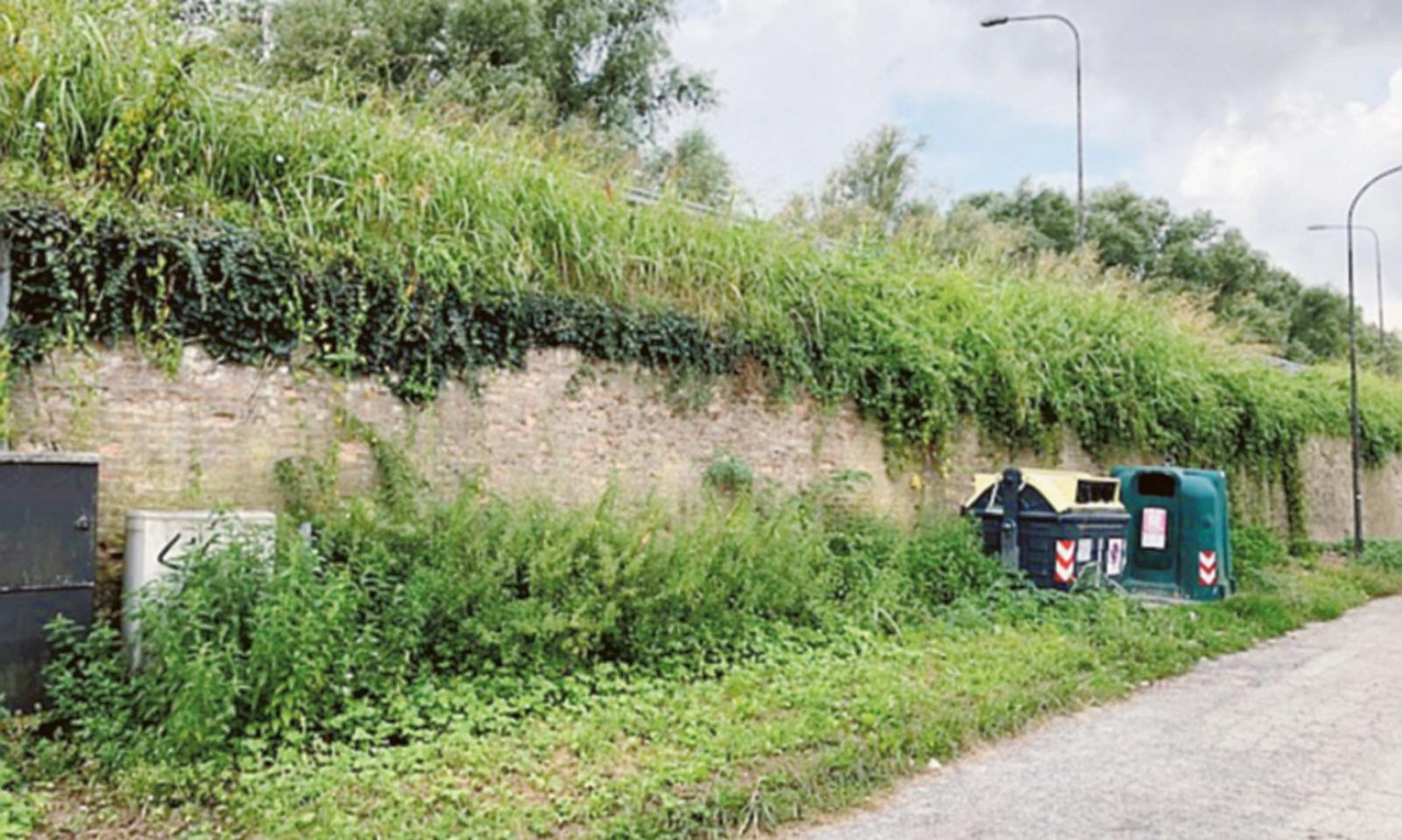&ldquo;Sfalcio del verde in ritardo prevenzione West Nile assente&rdquo;
