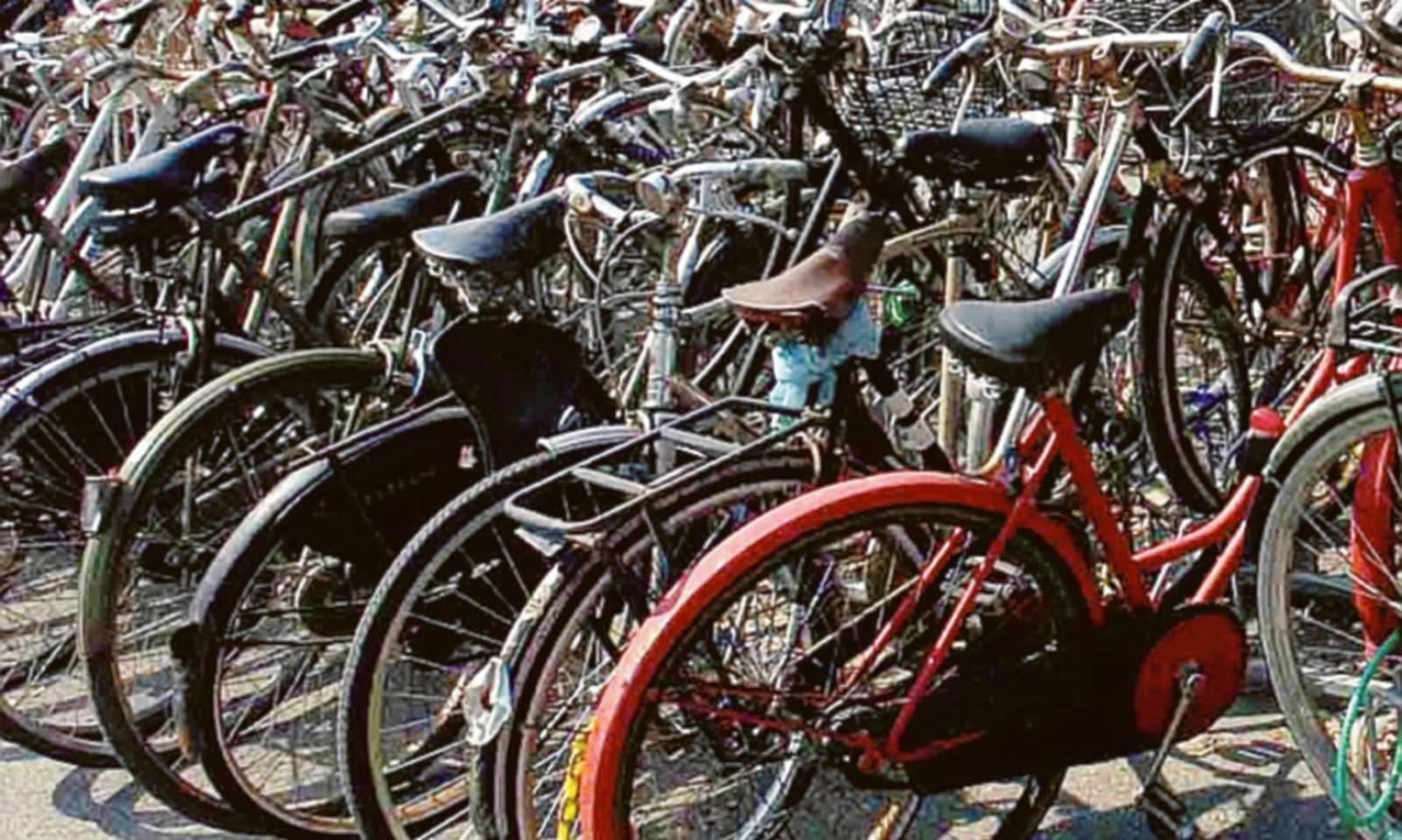 Si cercano i proprietari di 4 biciclette