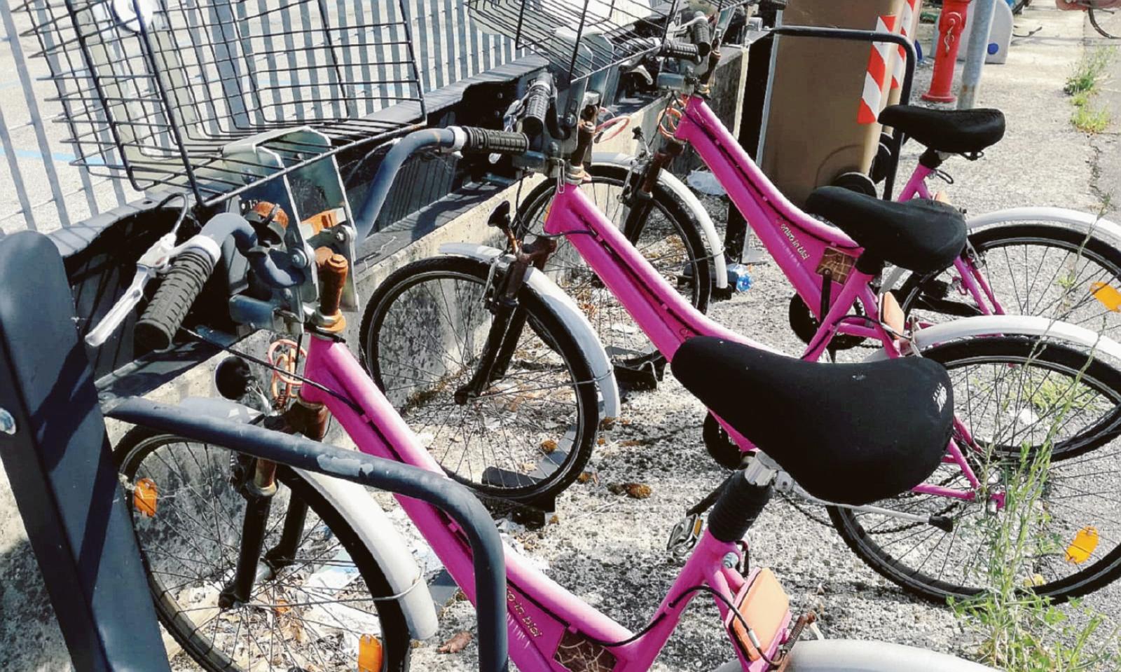 Le carcasse fucsia del bike sharing