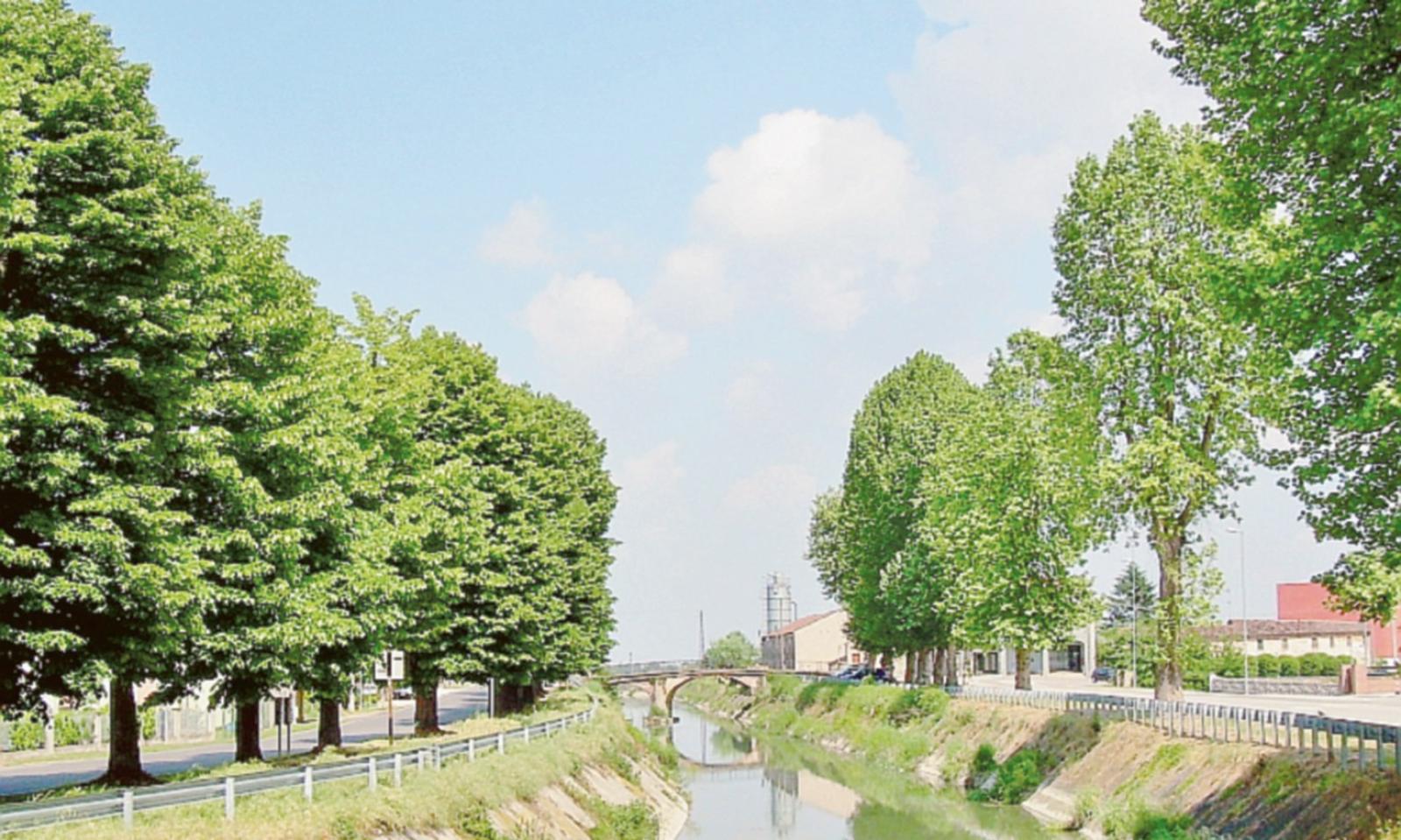 Ramodipalo attende la Biopower