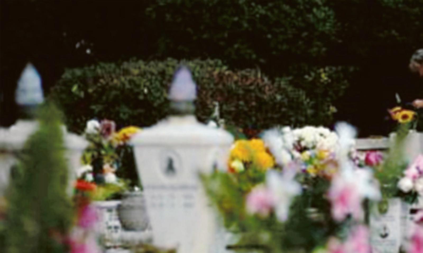 Rubano fiori e vasi dalle tombe