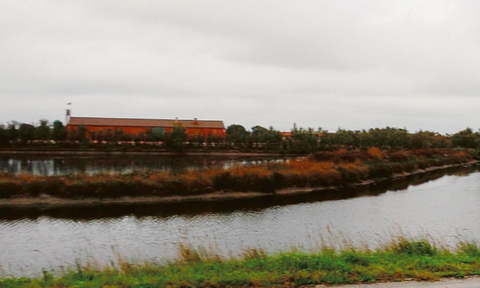 Il Po tracima, a rischio le vongole