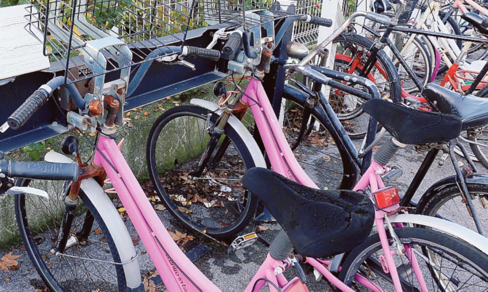 I rottami del bike sharing resistono