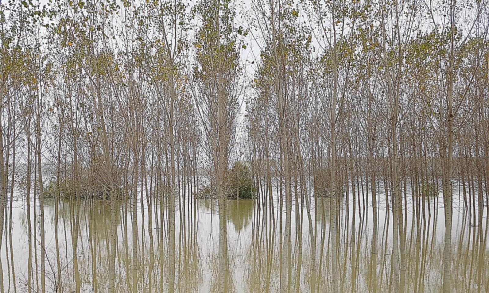 Po in piena, un centimetro all&rsquo;ora