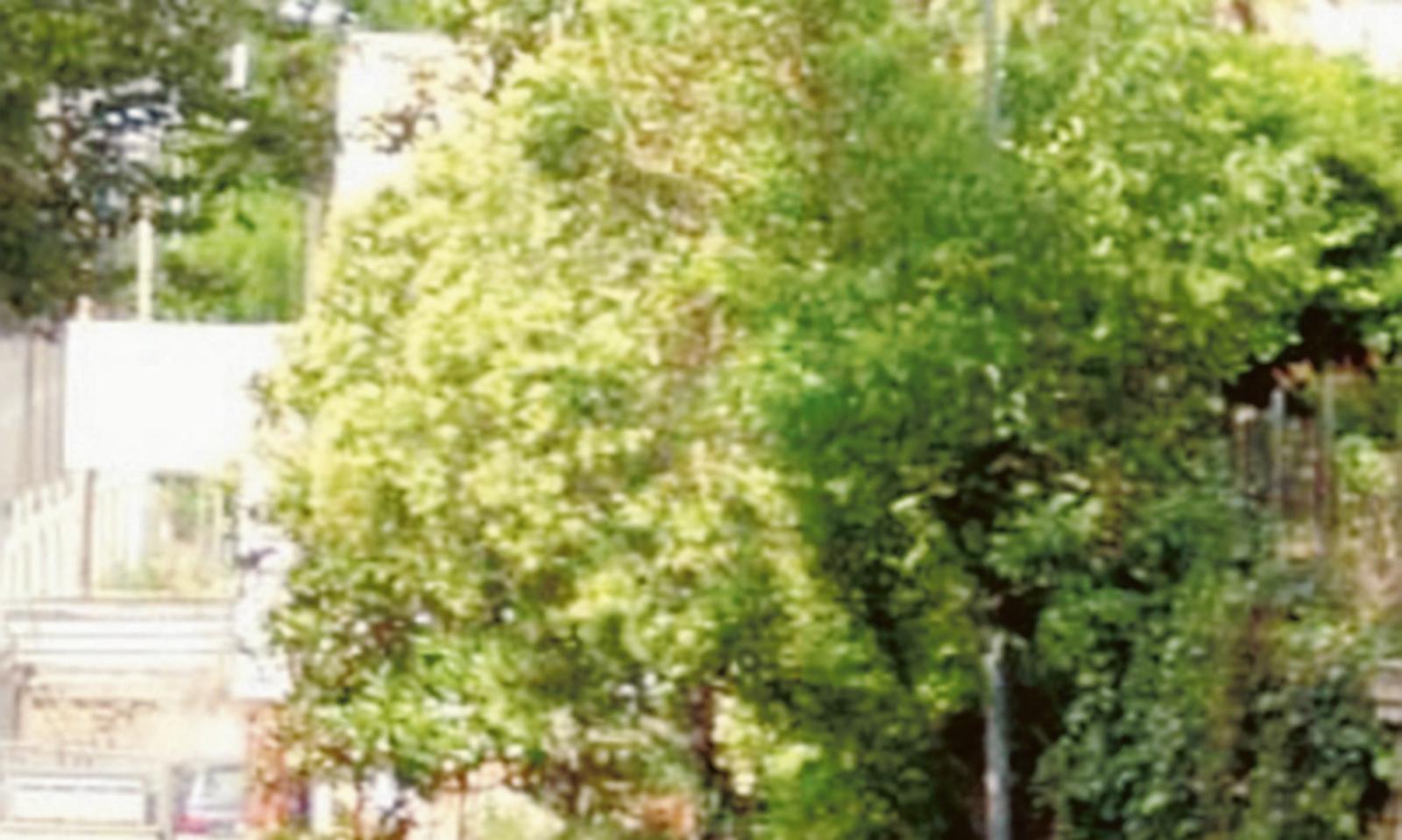 &ldquo;Incuria e sversamenti nei fossati&rdquo;