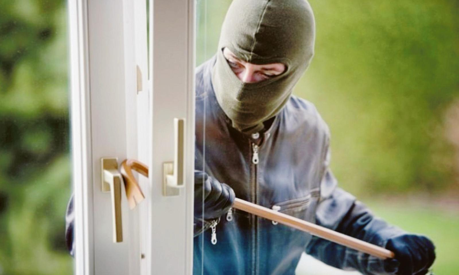 Topi d&rsquo;appartamento in pieno giorno