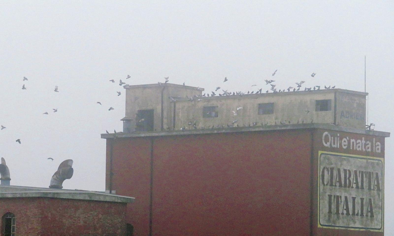 Ex Molini, degrado da fermare