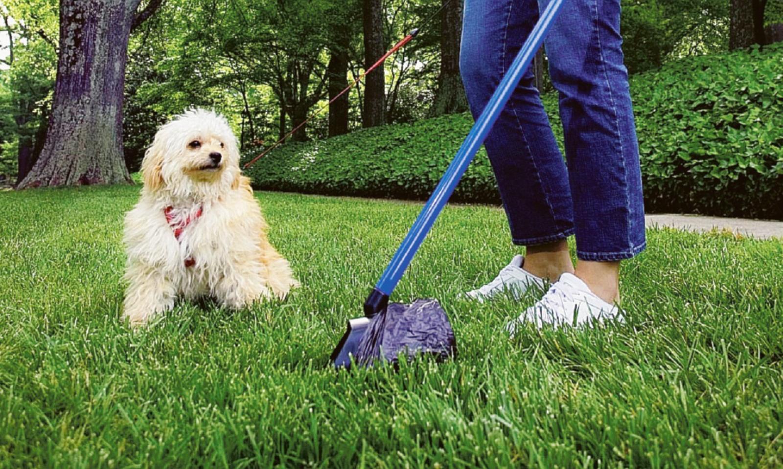 Troppi i ricordini di Fido al parco