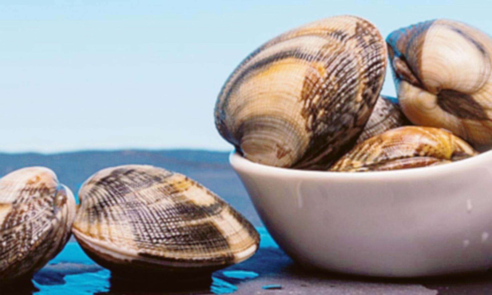 Itinerario archeologico nel Delta del Po