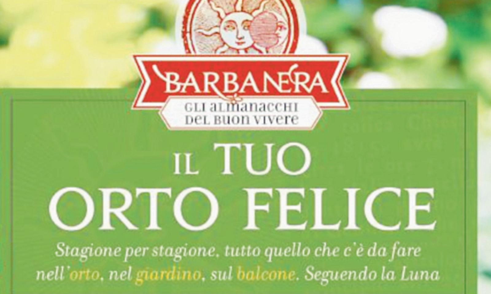 Tutti i segreti per coltivare un orto davvero perfetto