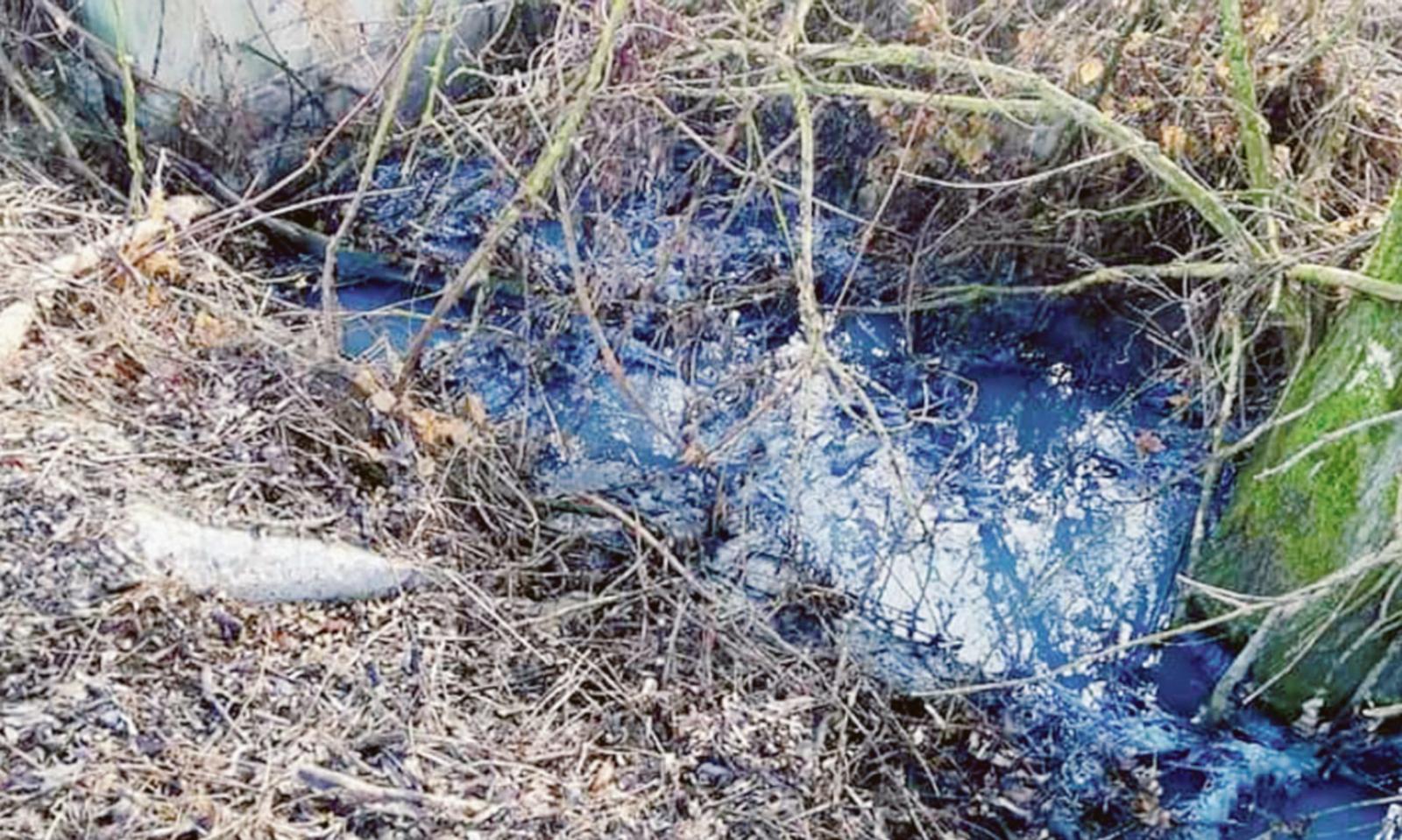 Fogna a cielo aperto, verifiche del Comune