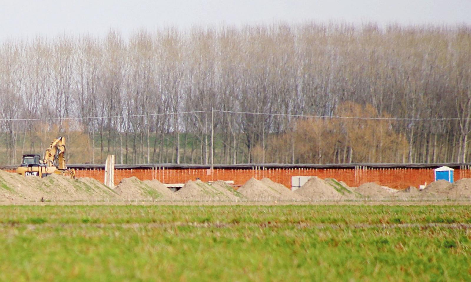 I politici dormono, arrivano i polli