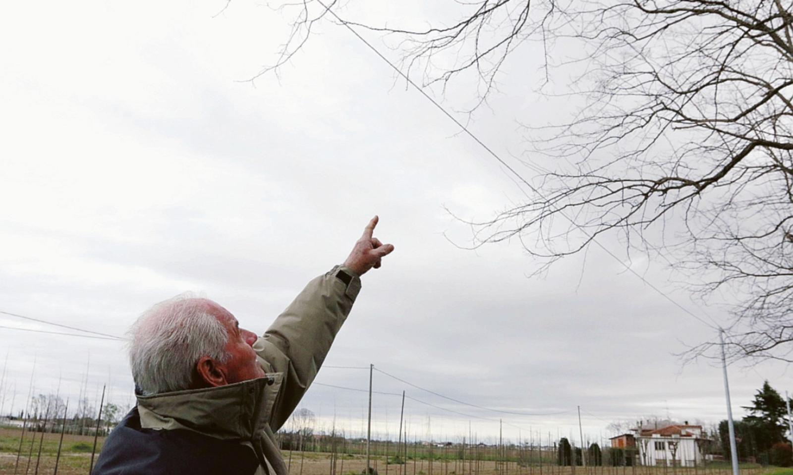 Rami sui cavi elettrici e frane